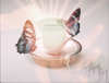 butterflies