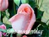 fijne moederdag