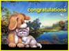 Birthday cards Cat and Dog congratulations