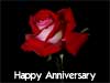 Birthday cards red roses happy anniversary