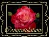 Congratulations Birthday cards
