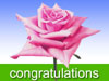 Pink Birthday Rose e-cards