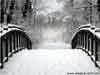 3D Christmas Card: Snowy Bridge with Snow Effect