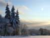 Christmas Card: A Peaceful New Year