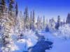 Christmas E-Card: Christmas Scene on the River with Real Falling Snow