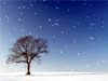 3D Christmas Card: Winter Wonderland with Lonely Tree