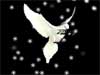 New Year Card: Hope and Love in 2026