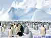 Christmas Card: Arctic Greeting from Antarctica Weddell Sea