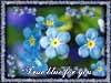 Flower ecards, true blue flowers