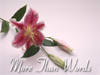 Flower ecards, more then words can say