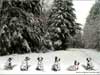 Happy New Year E-Cards with sitting dogs, 2026 New Year Greeting