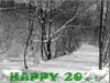 New Year Greetings, two Cats wishing you a happy 2026