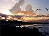 Love greeting e-cards, the love is written in the sky