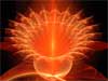 Love E-Cards, Love Your Soul, the recipient's name will be projected