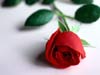 Love cards, The Romantic Rose