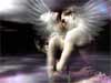 Love cards, the wings of love