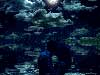 Love E-Cards, The Moon, Sea and Kisses