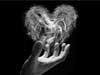 Love E-Cards, The Heart of Smoke