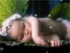 new life